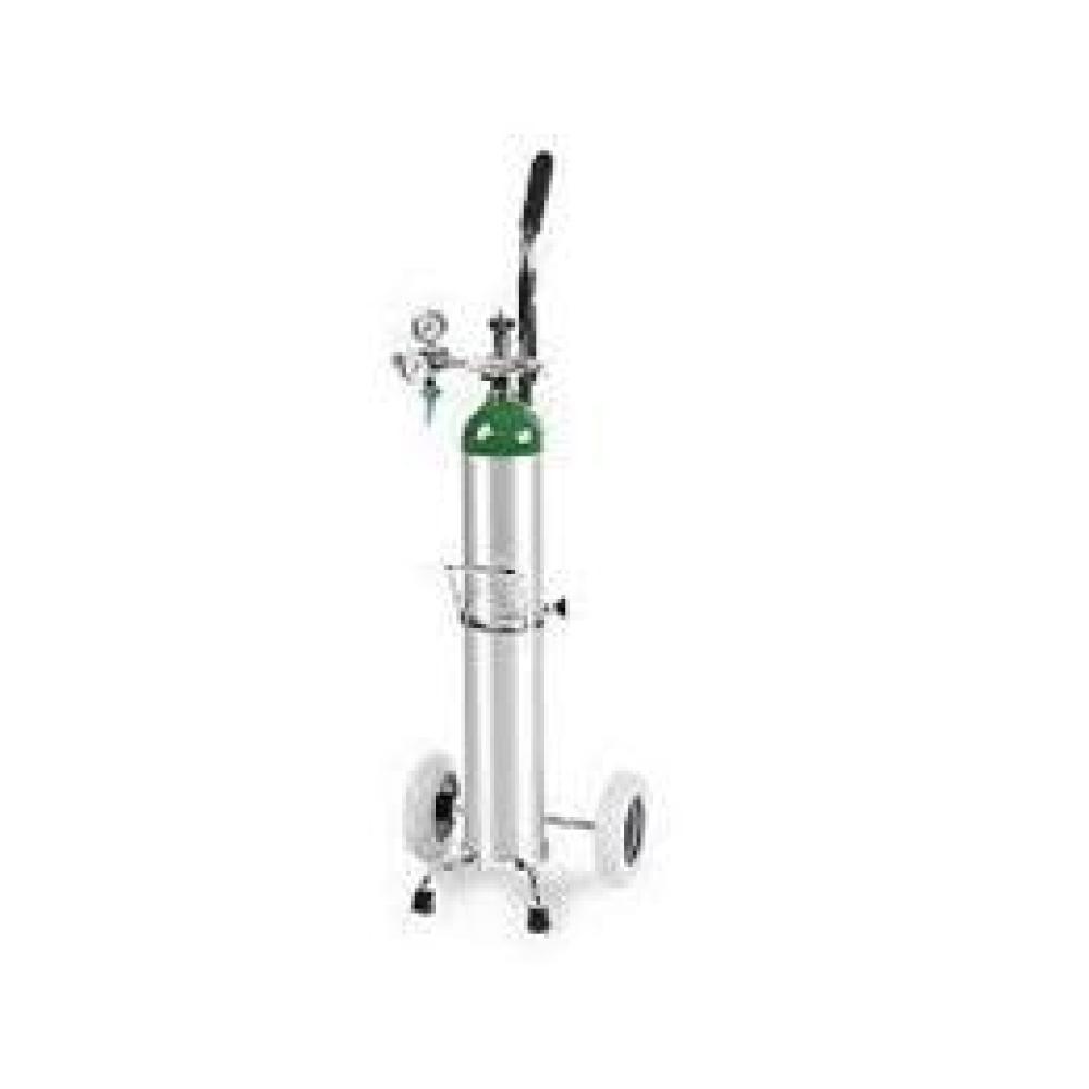 Image for product - E Cylinder Portable Oxygen System Image for product - E Cylinder Portable Oxygen System