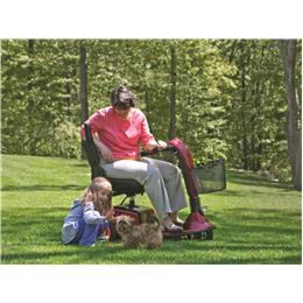 Image for product - Companion 3-Wheel Mid-Size