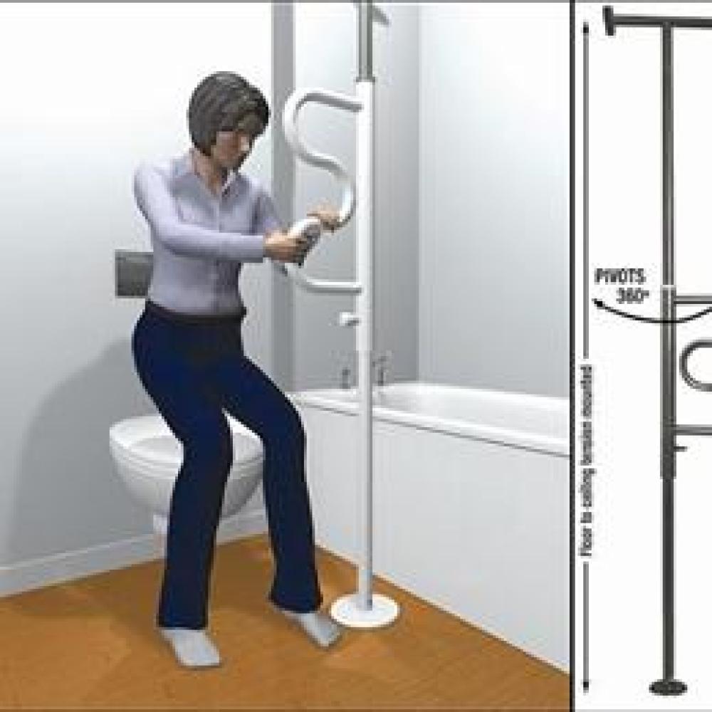Image for product - Security Pole & Curve Grab Bar