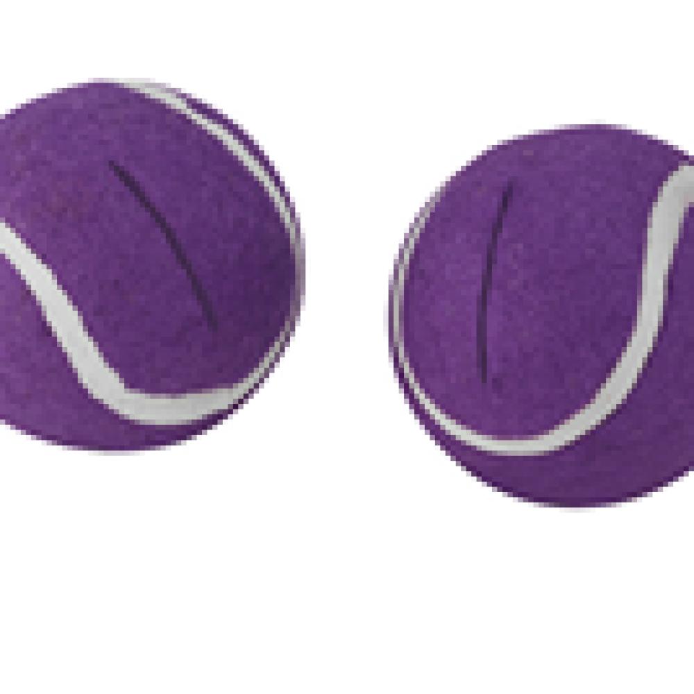 Image for product 719