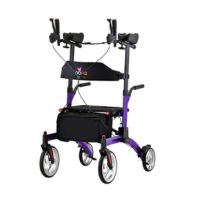 Walking Aids and Accesso