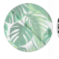 Image for product 839 thumbnail