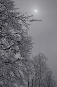 The major cause of SAD is lack of sunlight.